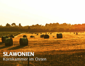 Mehr über Slawonien - das Landesinnere Kroatiens